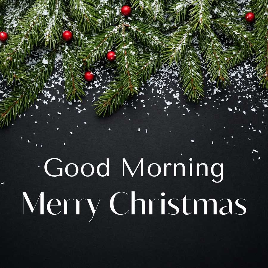 Merry Christmas Good Morning Image